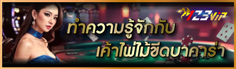 ทำความรู้จักกับ เค้าไพ่ไม้ขีดบ